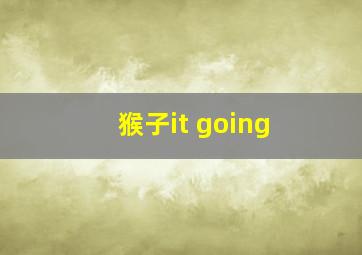 猴子it going